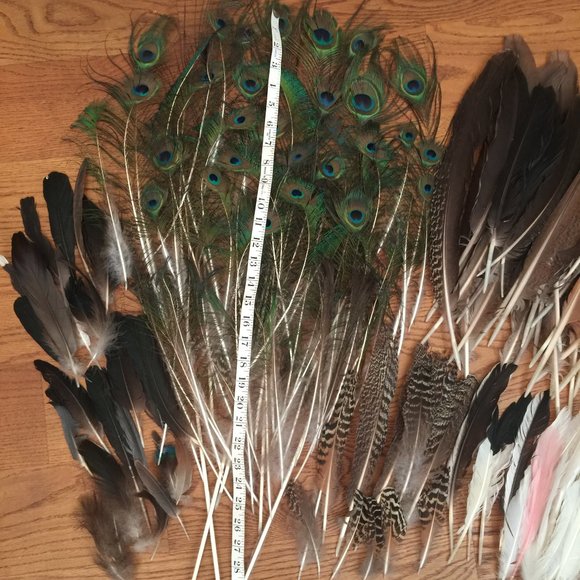 LOT 140 NATURAL PEACOCK BIRD FEATHER BOHO FESTIVAL CRAFT ART HOBBY COSTUME DECOR - Picture 12 of 16